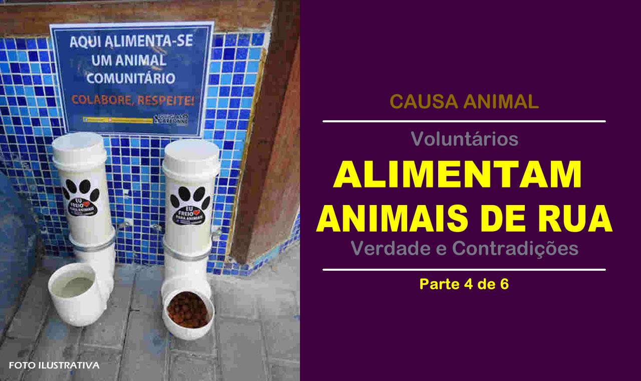 SOLIDARIEDADE: AUXILIO ALIMENTO AOS ANIMAIS DE RUA