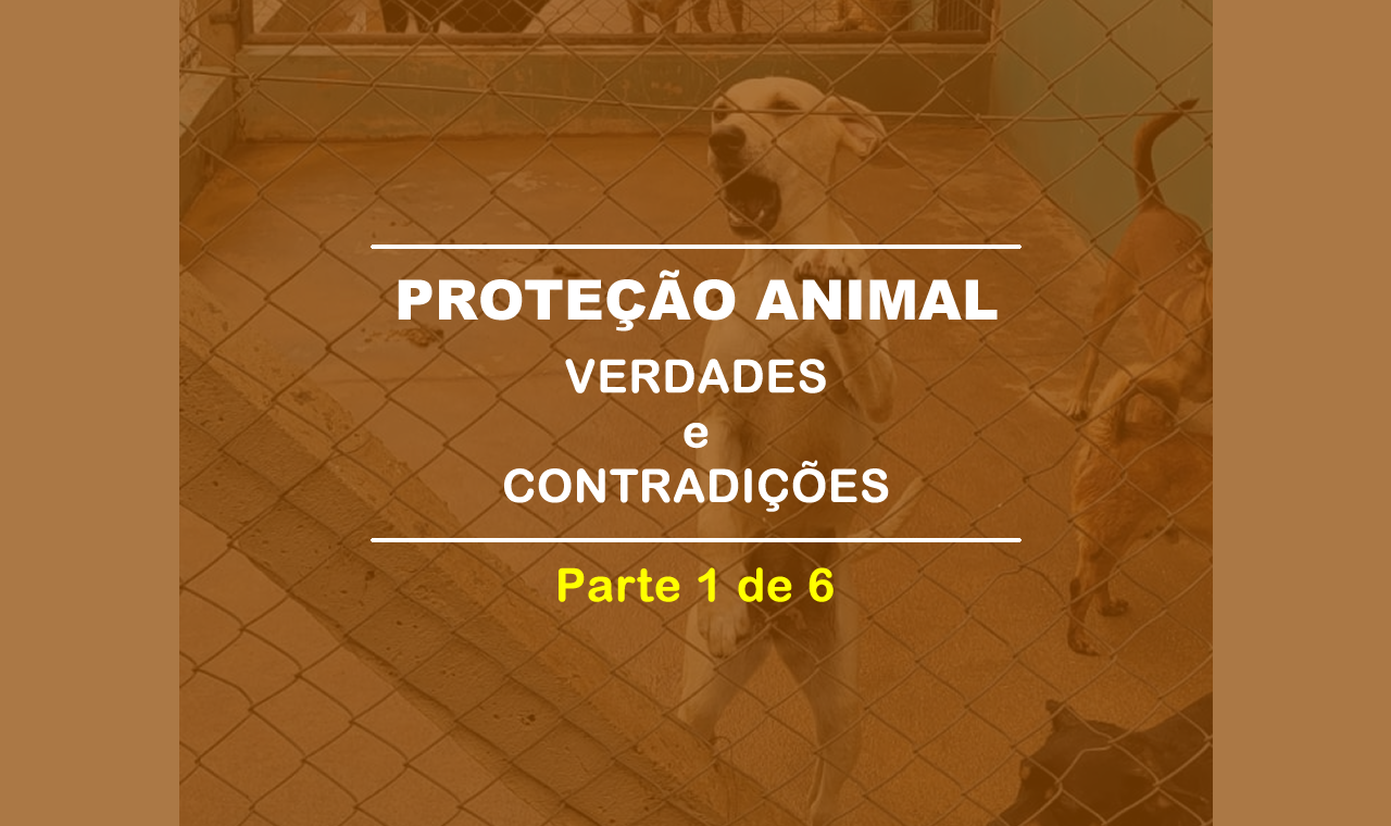 VERDADES E CONTRADIÇÕES NA PROTEÇÃO ANIMAL EM LP