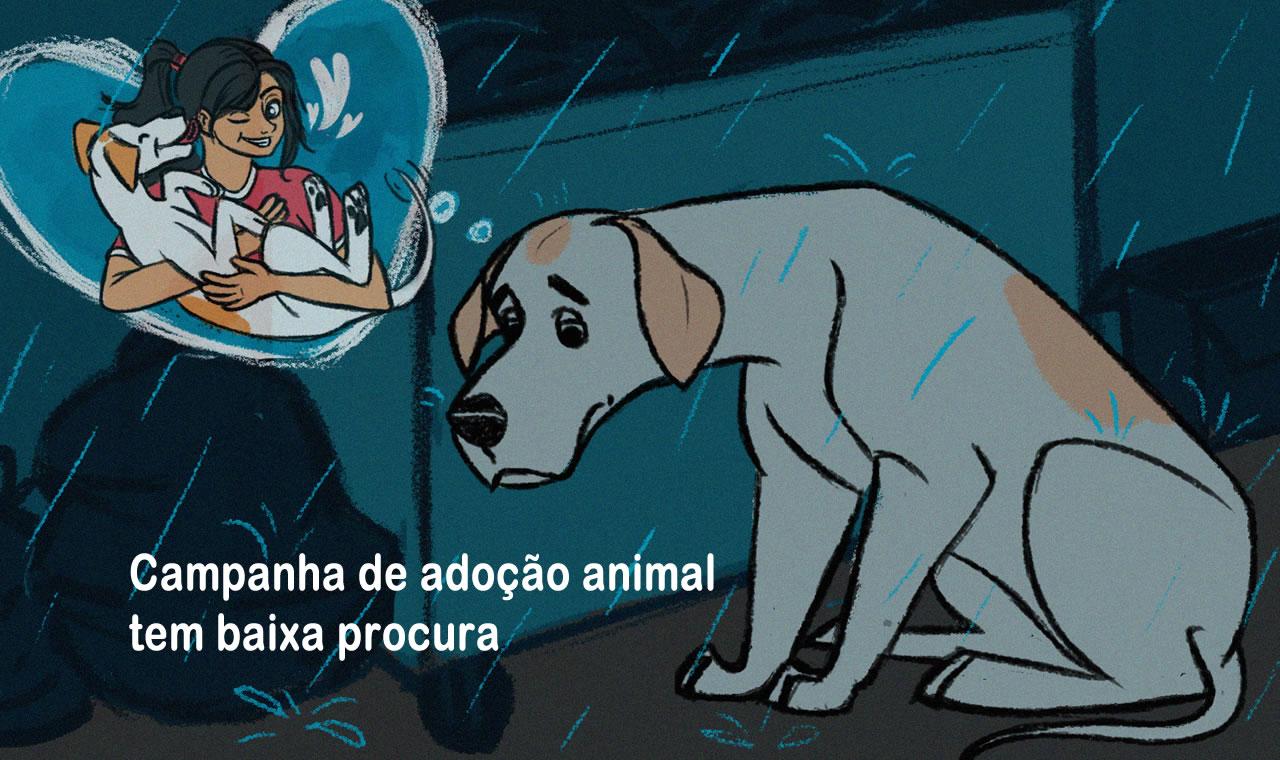 Adoção Consciente de Animais Resgatados Fracassa na Cidade de Lençóis Paulista