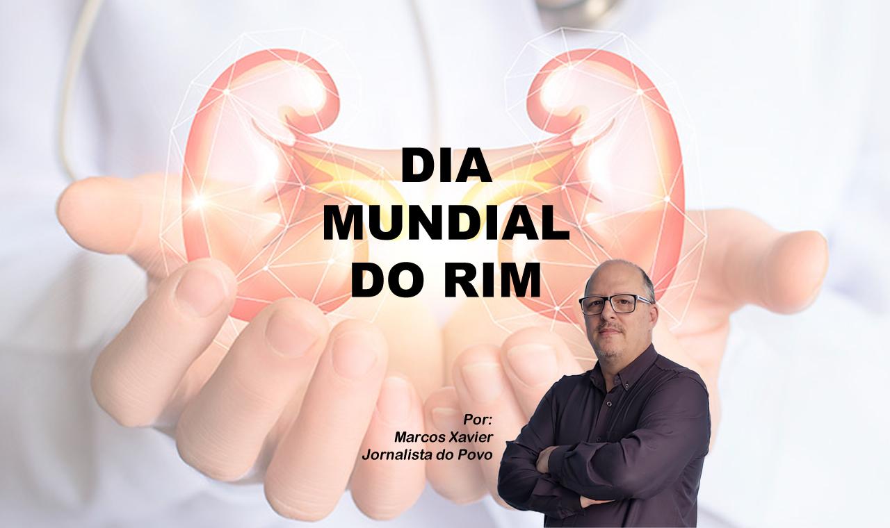 Cuidados com o Rim: exame de creatinina pode prevenir doença renal crônica