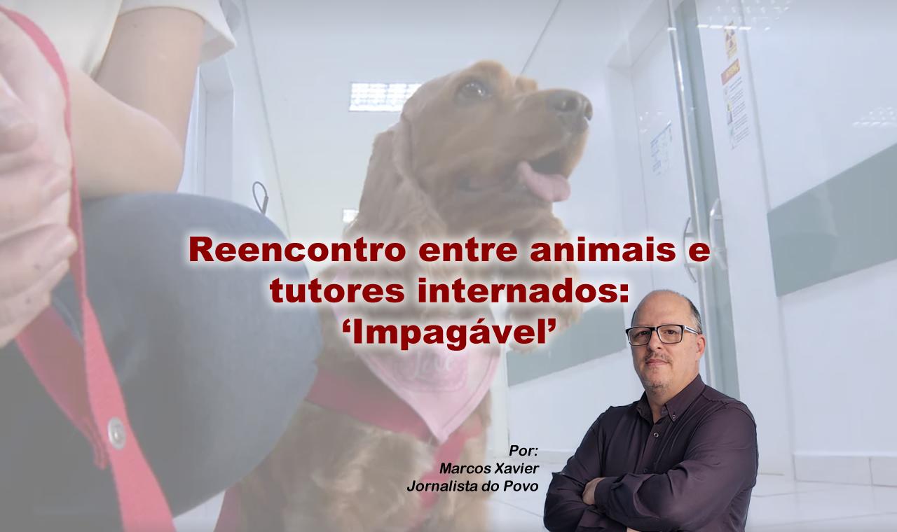 Terapia com animais promove reencontro emocionante entre pacientes e seus pets em hospital de Ribeirão Preto