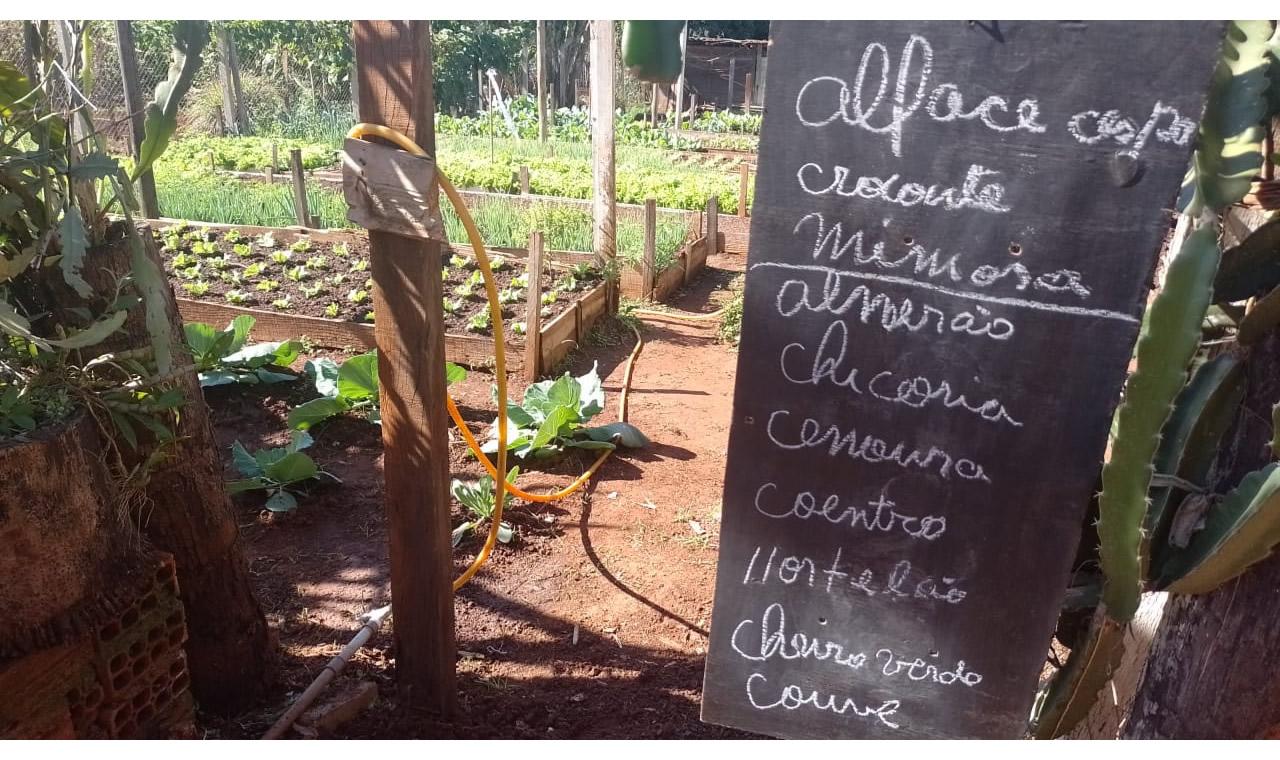 Agroecologia impulsiona qualidade de vida e sustentabilidade em Lençóis Paulista