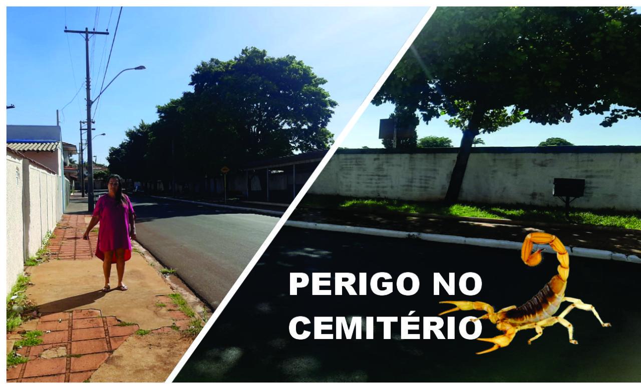 Escorpiões do Cemitério