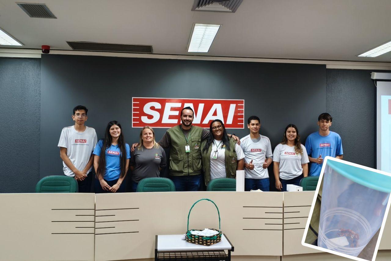 Saúde alerta sobre cuidados com escorpiões após aumento de casos em Lençóis Paulista