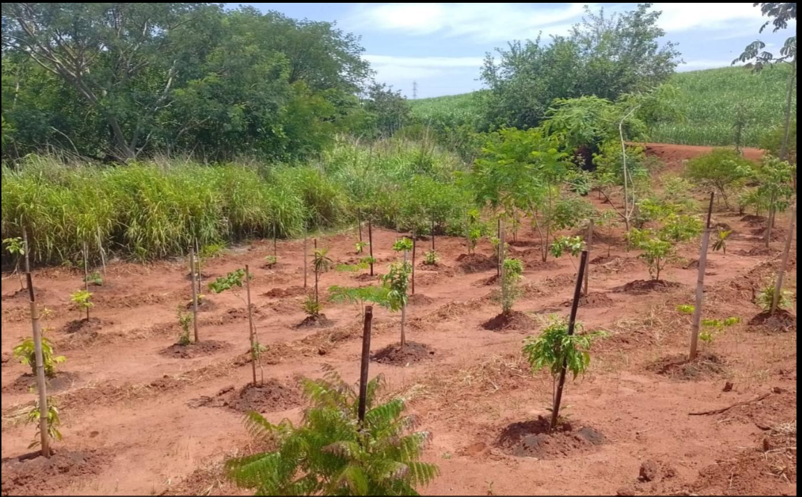 Água protegida, futuro garantido