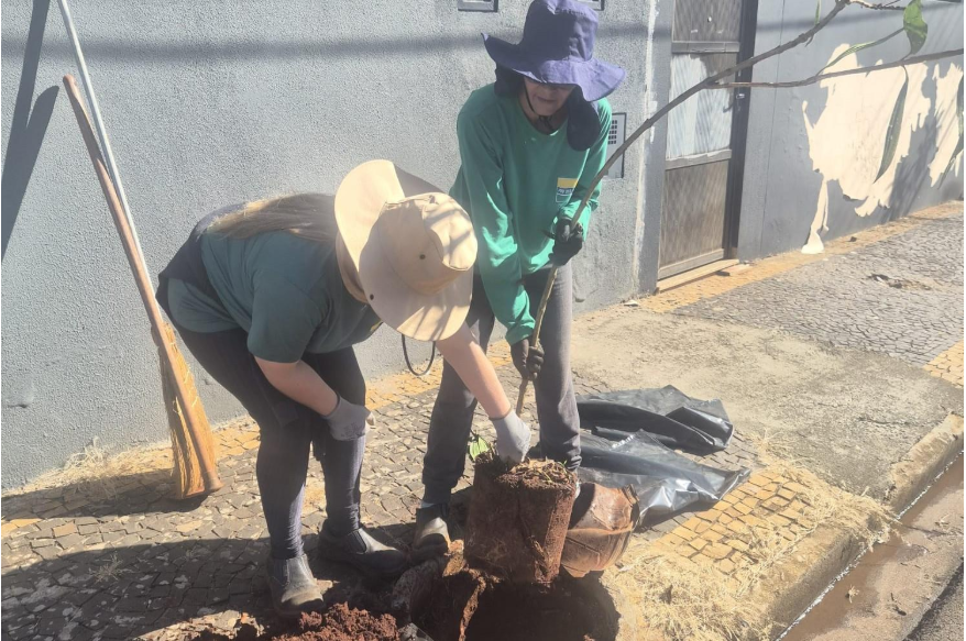 Lençóis Paulista aposta em mais árvores para combater calor e melhorar qualidade de vida