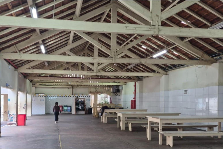 Escola Esperança receberá tecnologia para afastar pombos de forma segura e sem maus-tratos