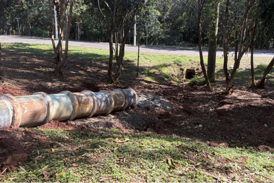 Contenção da erosão resolve problema e preserva área verde no Monte Azul