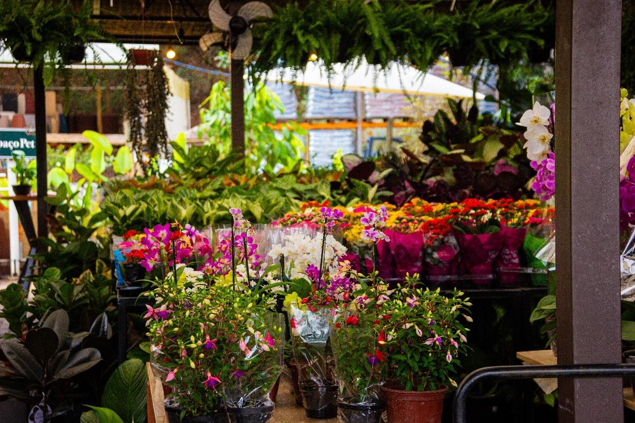 Ceagesp em Flor espera receber 40 mil visitantes em Bauru entre 18 e 20 de setembro
