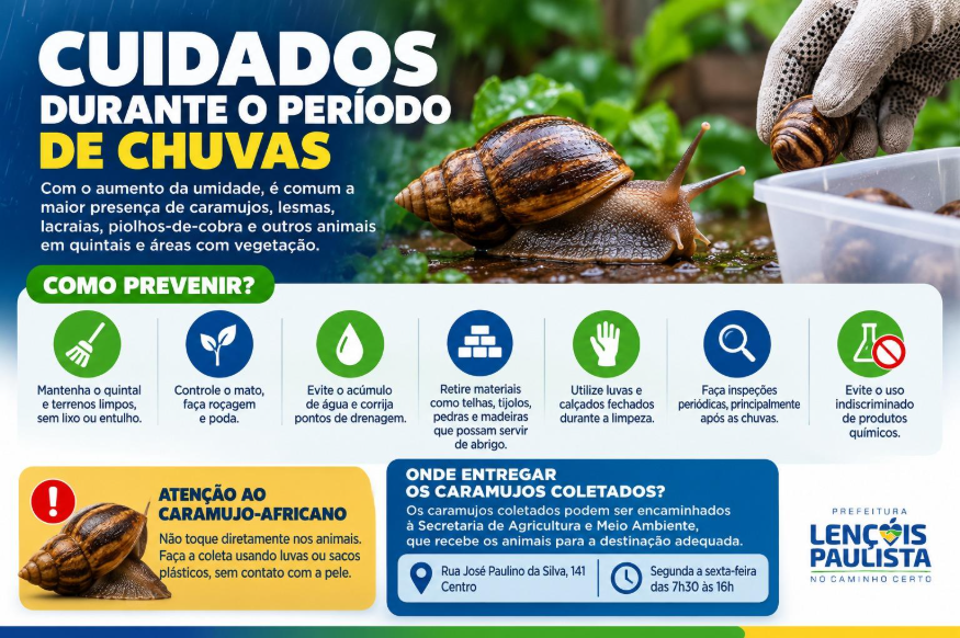 Prefeitura alerta para presença de caramujos e lesmas durante período de chuvas em Lençóis Paulista
