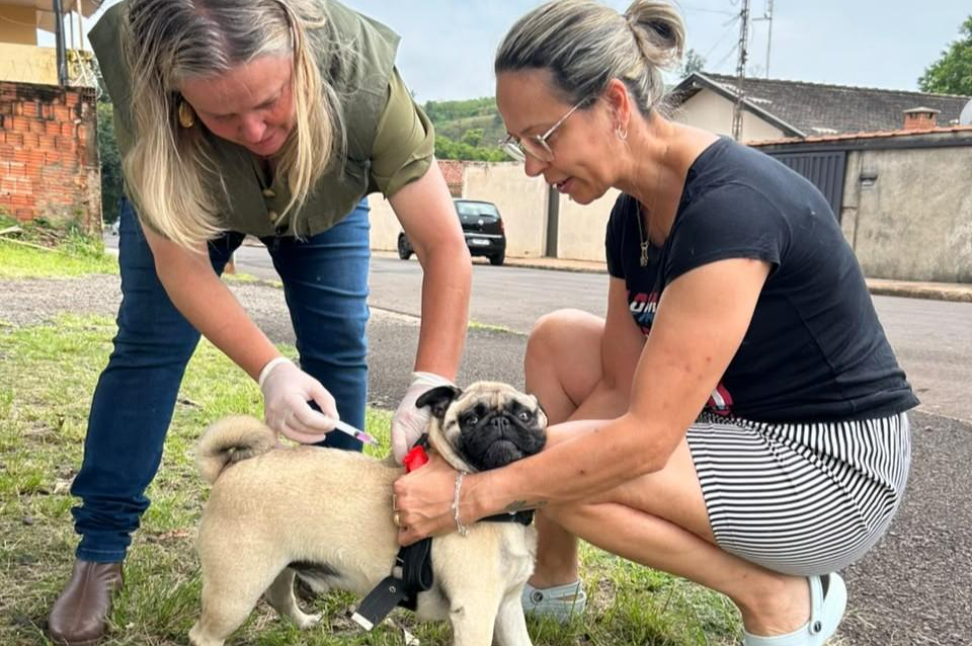 Vacinação contra a raiva imuniza 105 cães e gatos em Lençóis Paulista