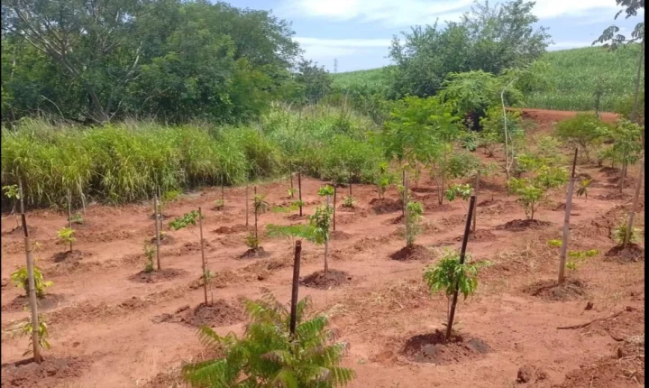 Água protegida, futuro garantido