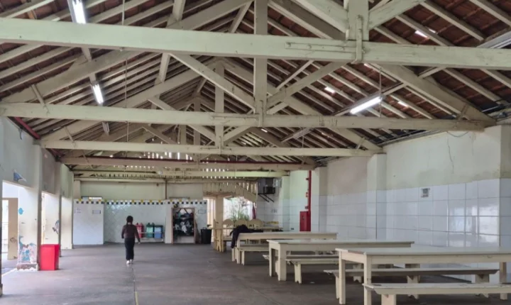 Escola Esperança receberá tecnologia para afastar pombos de forma segura e sem maus-tratos
