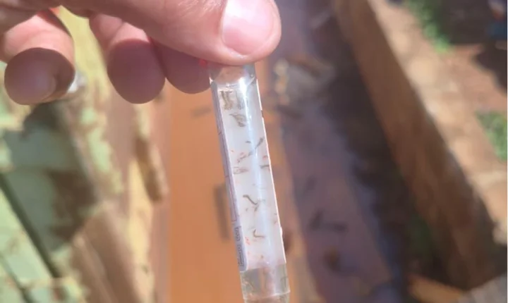 Lençóis Paulista inicia vistoria em 600 imóveis para identificar focos do mosquito da dengue