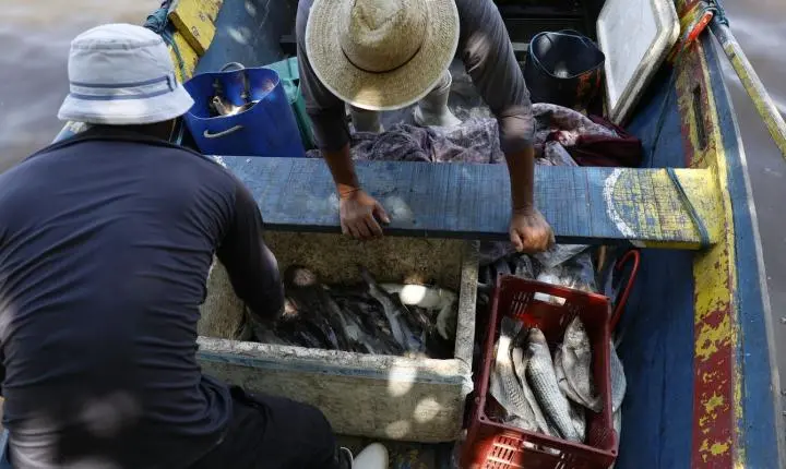 Pescadores beneficiados pelo Seguro-Defeso recebem 6º lote nesta terça