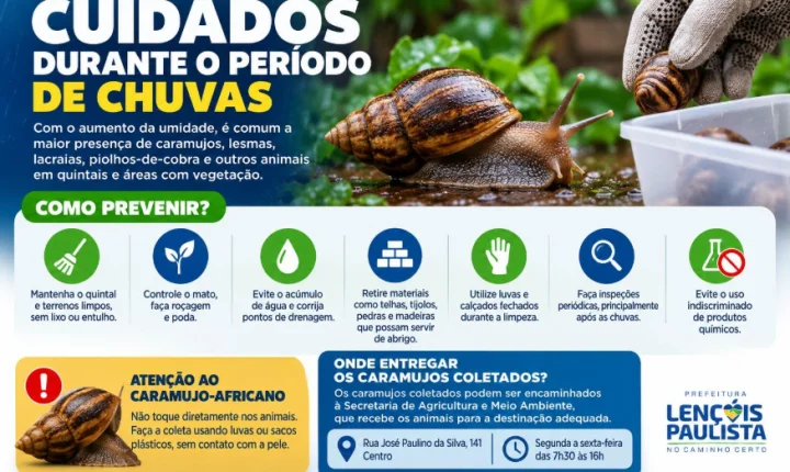 Prefeitura alerta para presença de caramujos e lesmas durante período de chuvas em Lençóis Paulista