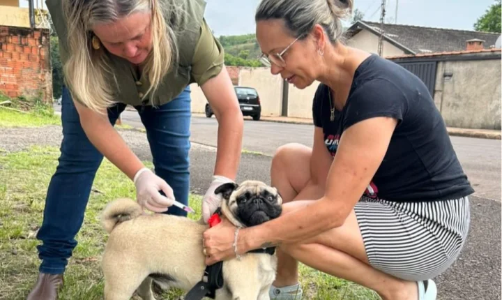 Vacinação contra a raiva imuniza 105 cães e gatos em Lençóis Paulista